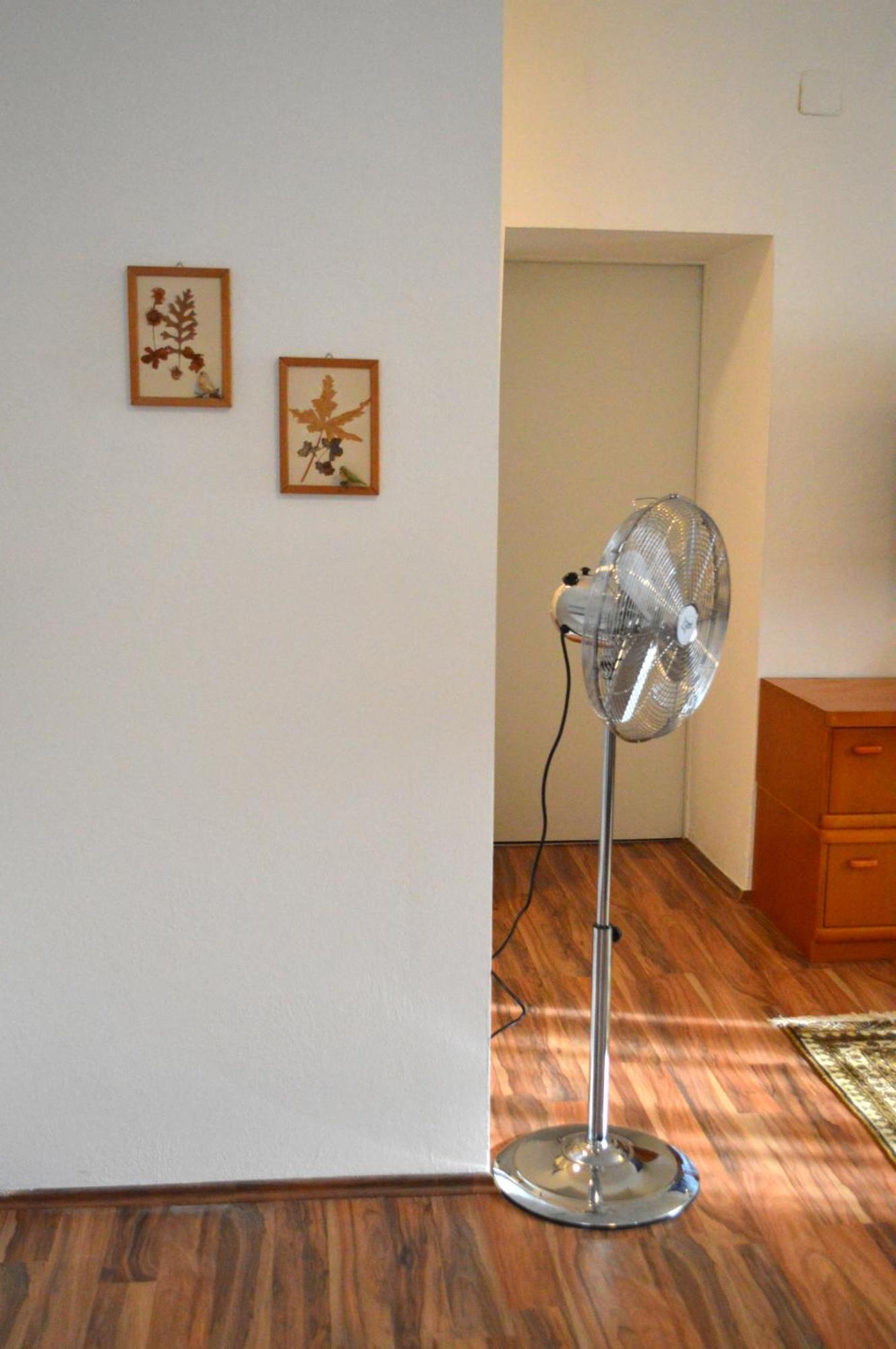 Gemuetliche Ferienwohnung - Prein An Der Rax Εξωτερικό φωτογραφία
